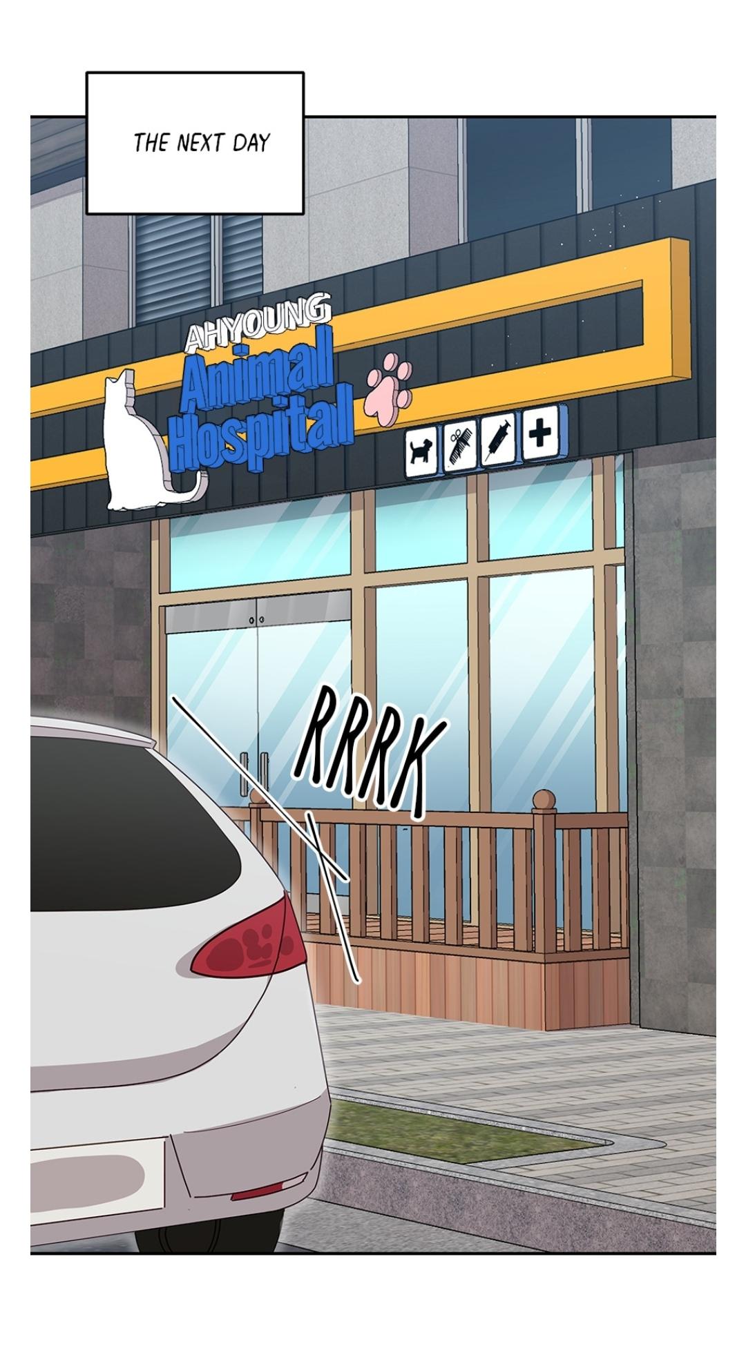 An animal hospital in the border area Chapter 8 49